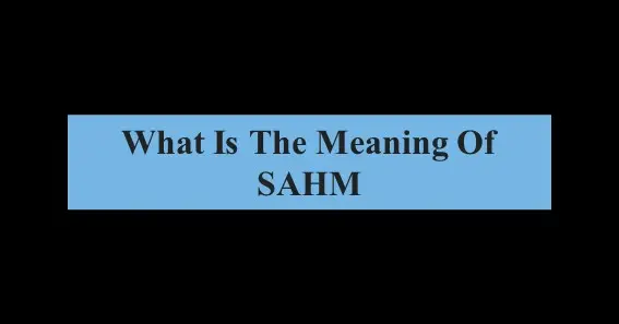 SAHM meaning