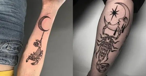Scorpion and Moon