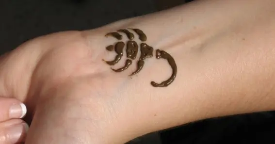 Scorpion with Henna-style Design