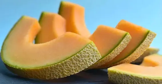 Cantaloupe for Dogs