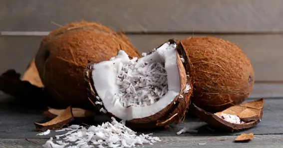 Benefits Of Dried Coconut