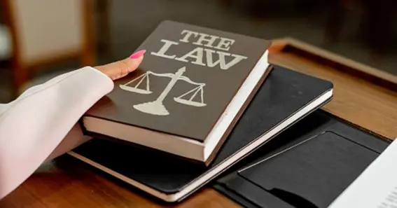 UAE rules and regulations and lawyers