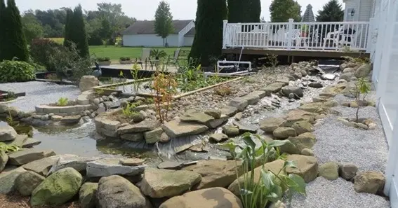 building a polyurea koi pond